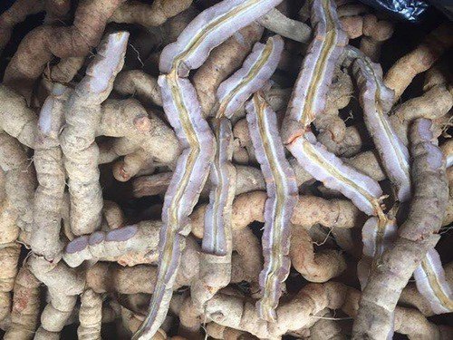 NHỮNG TÁC DỤNG VÀ MỘT SỐ BÀI THUỐC VỀ BA KÍCH