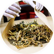 Giới thiệu chung