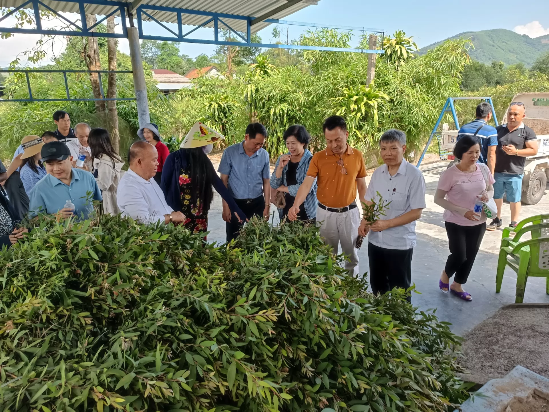 Trường Xuân với cộng đồng